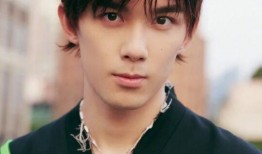 吴磊圈内人爆料了吗,揭秘明星背后的故事