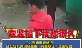 坠楼老师爆料视频大全最新,揭开教育乱象背后的真相